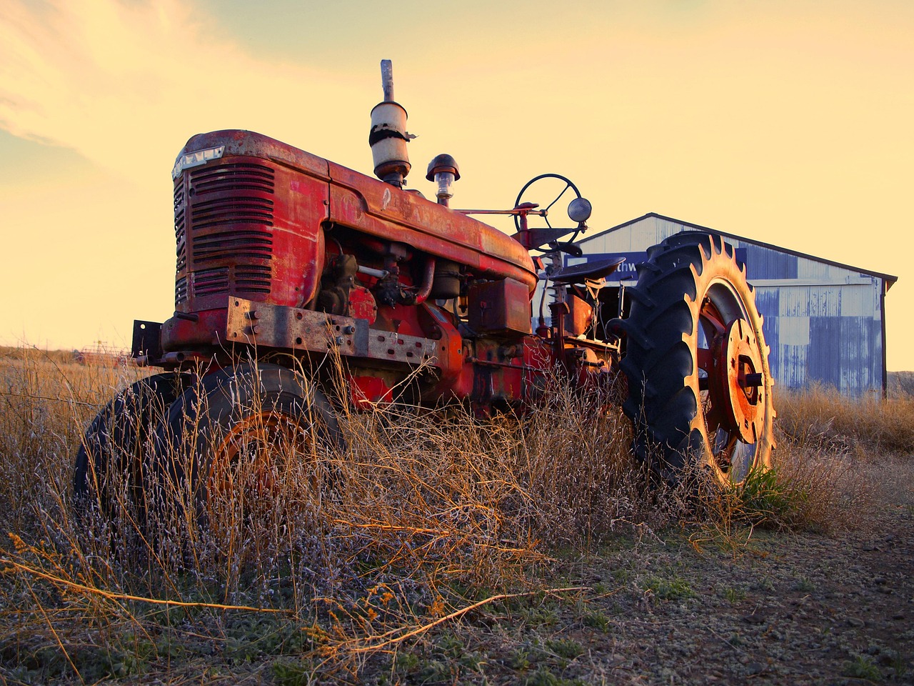 Old tractor in a field