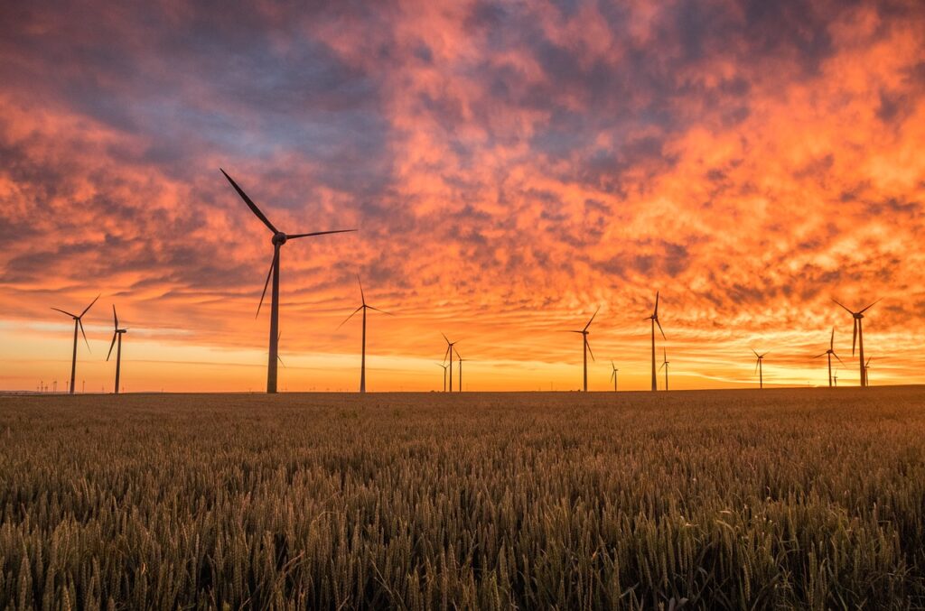 Windmills at sunset