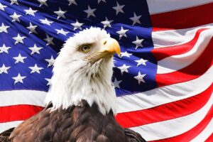 American eagle graphic in front of waving US flag
